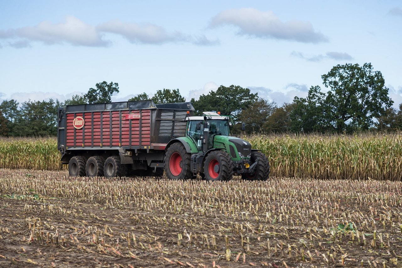 Bild 141 - Maisernte